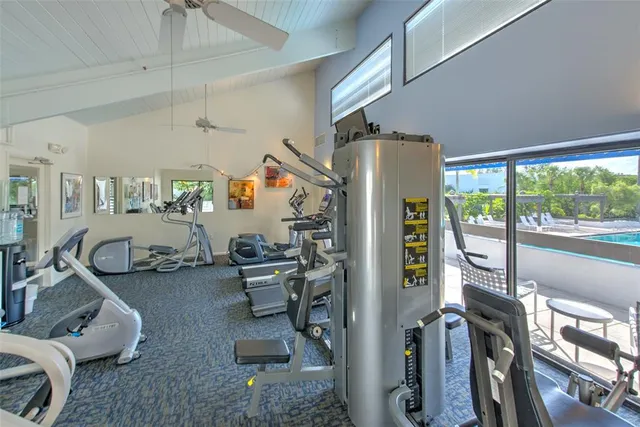 a view of a park with large trees