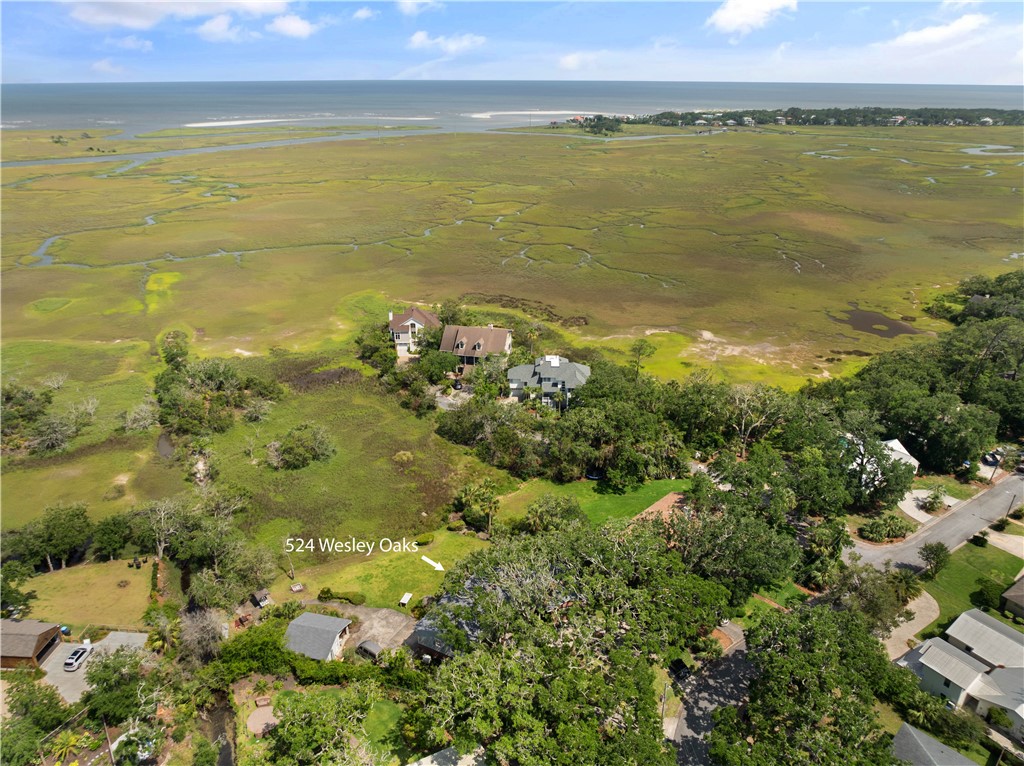 524 Wesley Oak Circle St. Simons Island, GA 31522 - Photo 3 of 10