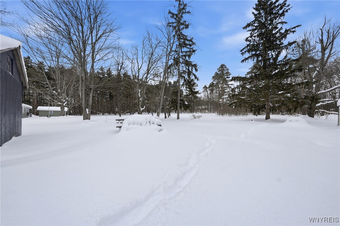 6235 Seufert Road Orchard Park, NY 14127 - Photo 7 of 25