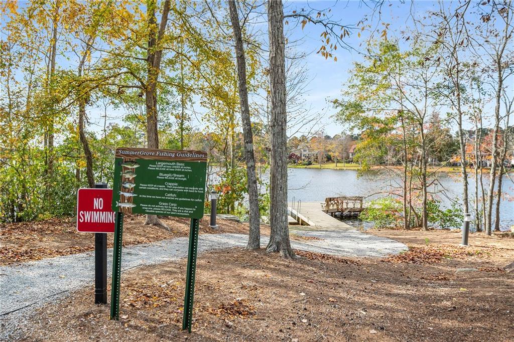 111 Portico Place Newnan, GA 30265 - Photo 54 of 55