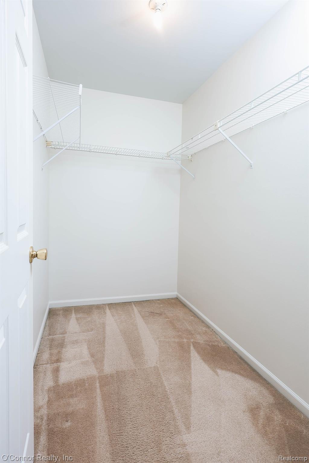 1660 River Road, Unit 53 Marysville, MI 48040 - Photo 20 of 31 Walk in closet featuring light carpet