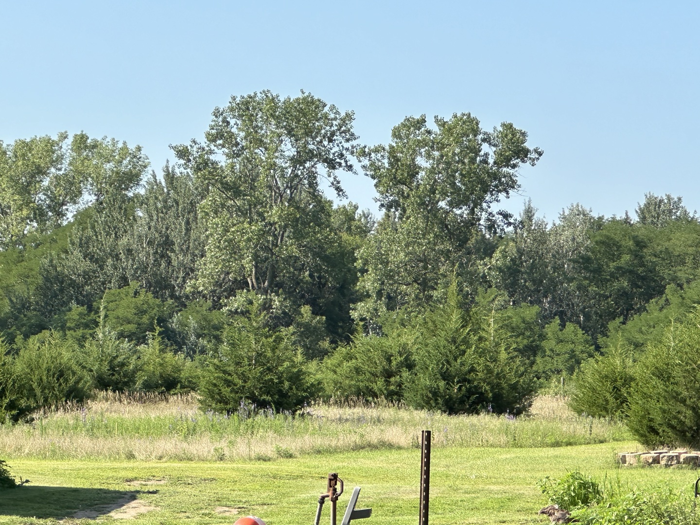 10600 Osage Road Prophetstown, IL 61277 - Photo 17 of 17 a view of a yard