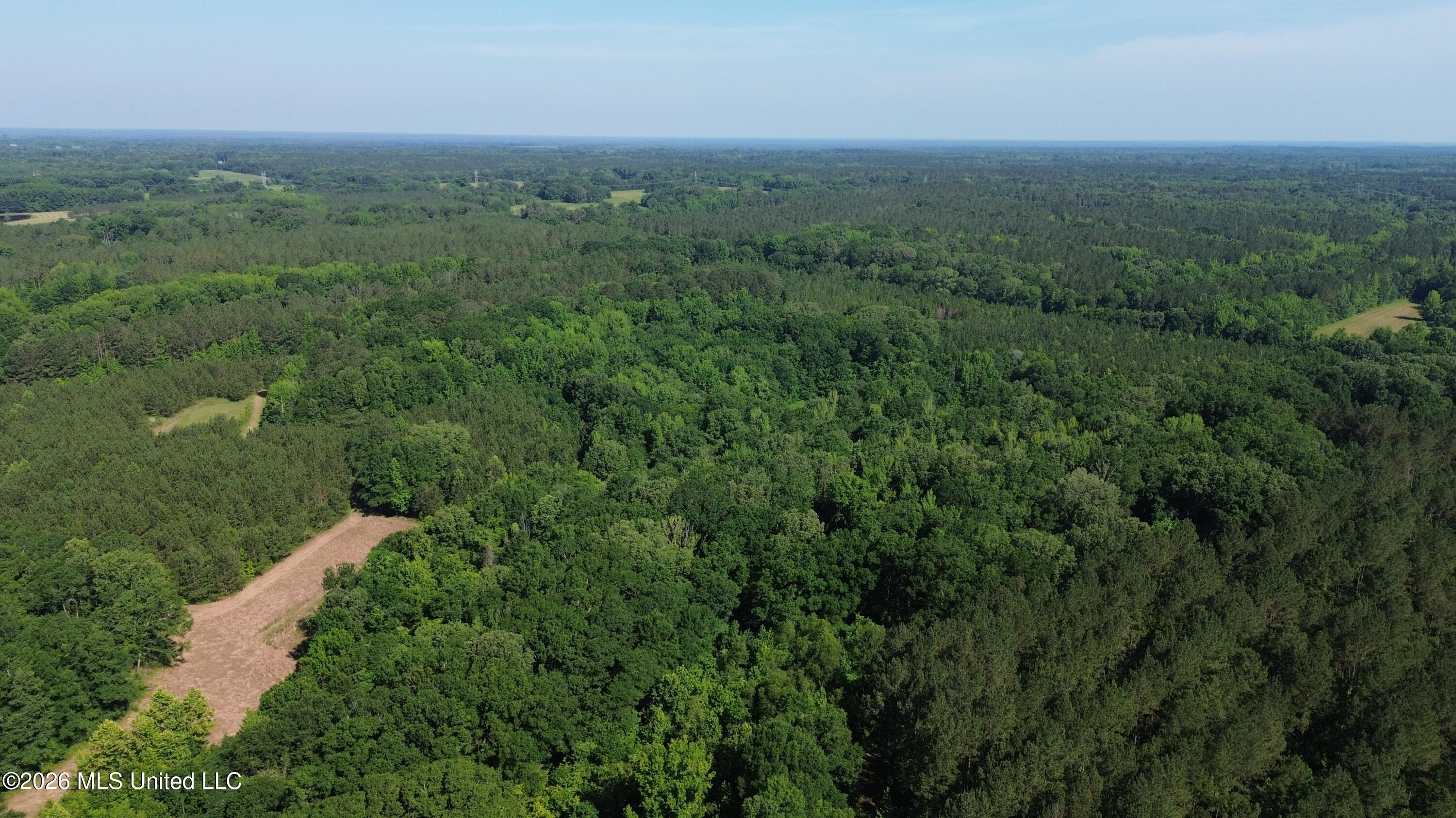 1359 Loring Rd Exd Camden, MS 39045 - Photo 60 of 91 DJI_0443