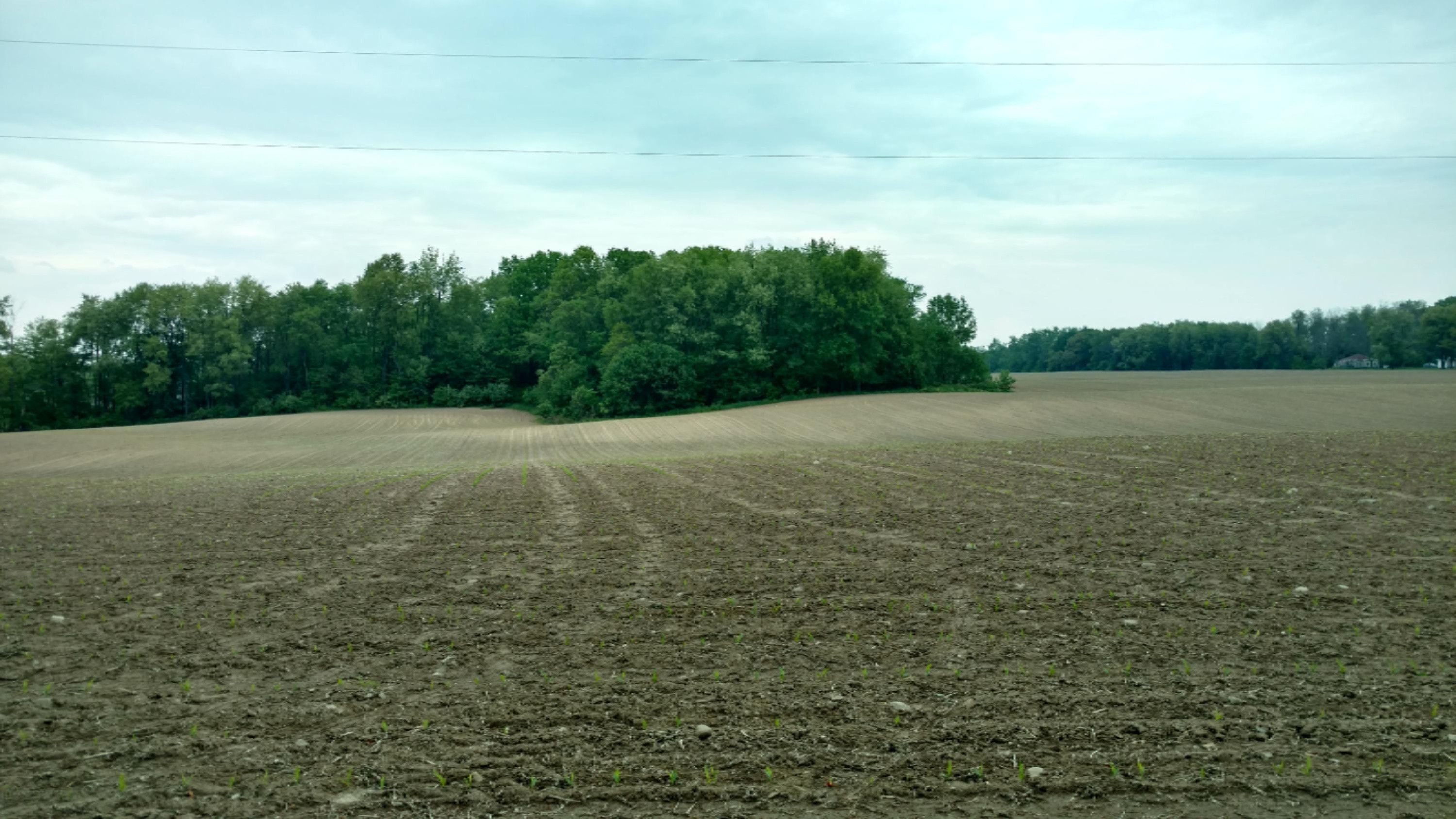 11751 7 Mile Road Northeast Belding, MI 48809 - Photo 3 of 18 Copy of IMG_20170524_163007574_HDR