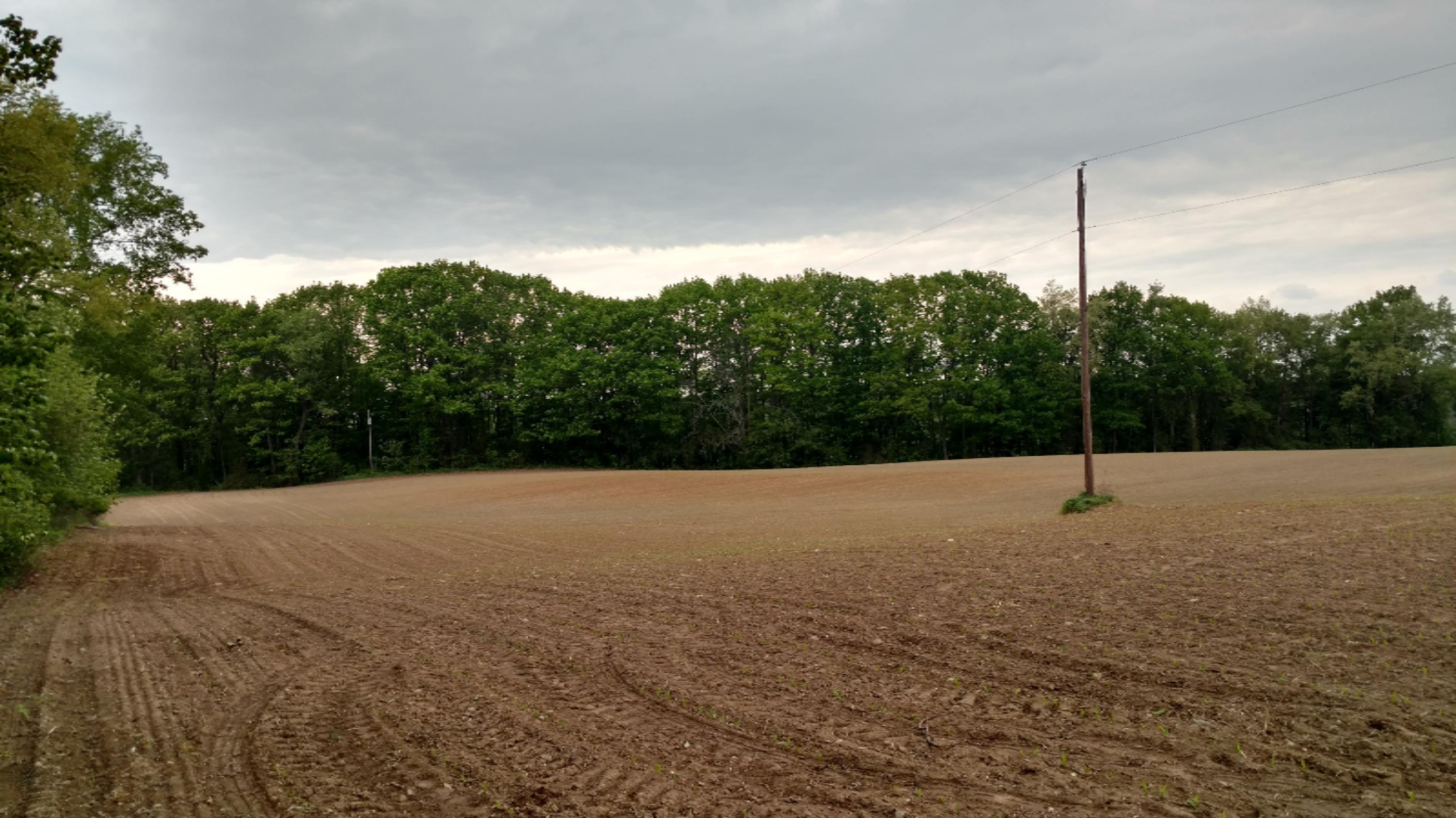 11751 7 Mile Road Northeast Belding, MI 48809 - Photo 4 of 18 Copy of IMG_20170524_163010108_HDR