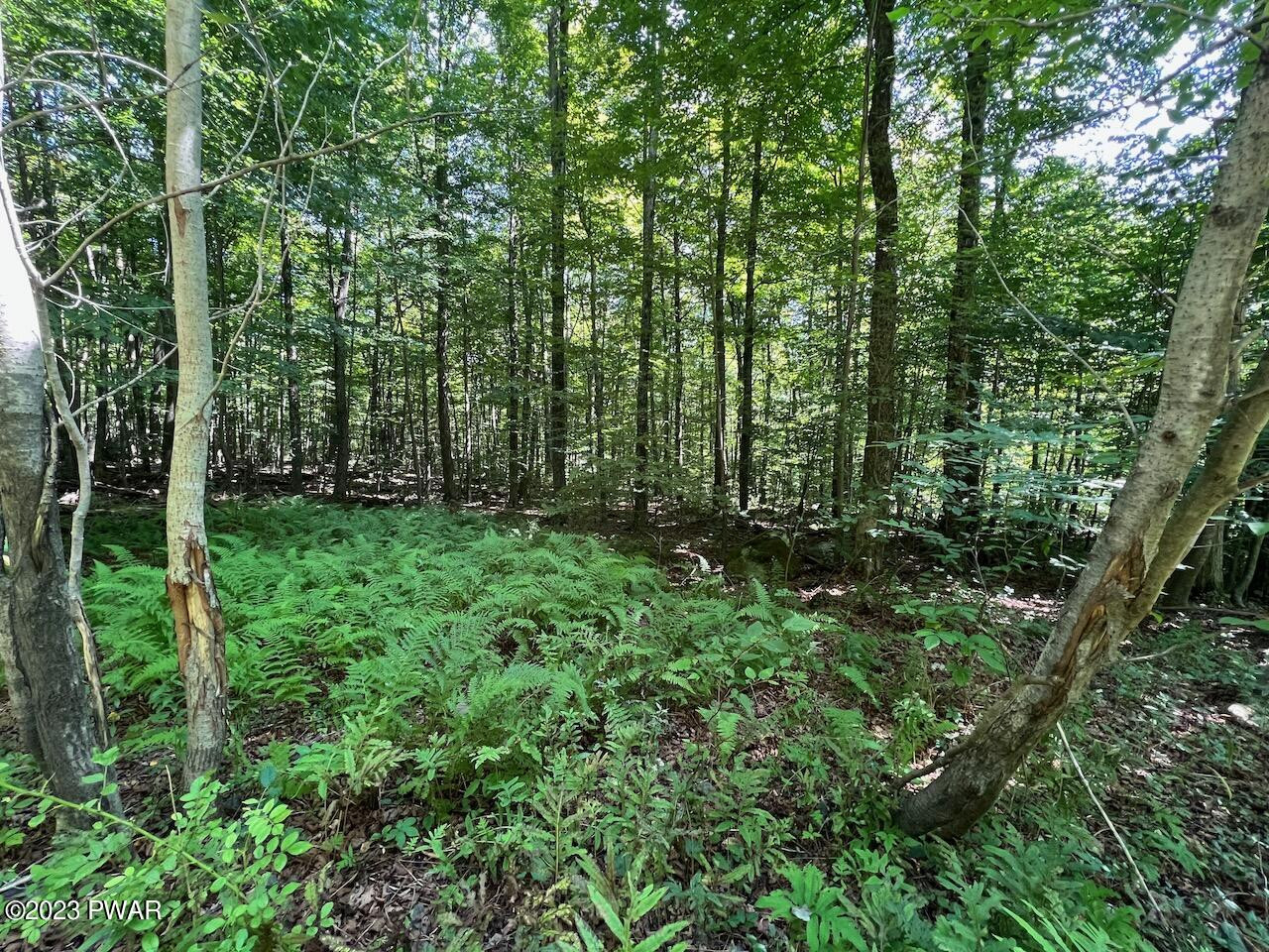 4-5 Secluded Lk Road Newfoundland, PA 18445 - Photo 11 of 22