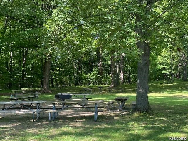 V/l Murray Hill Road Hartland, MI 48353 - Photo 6 of 18