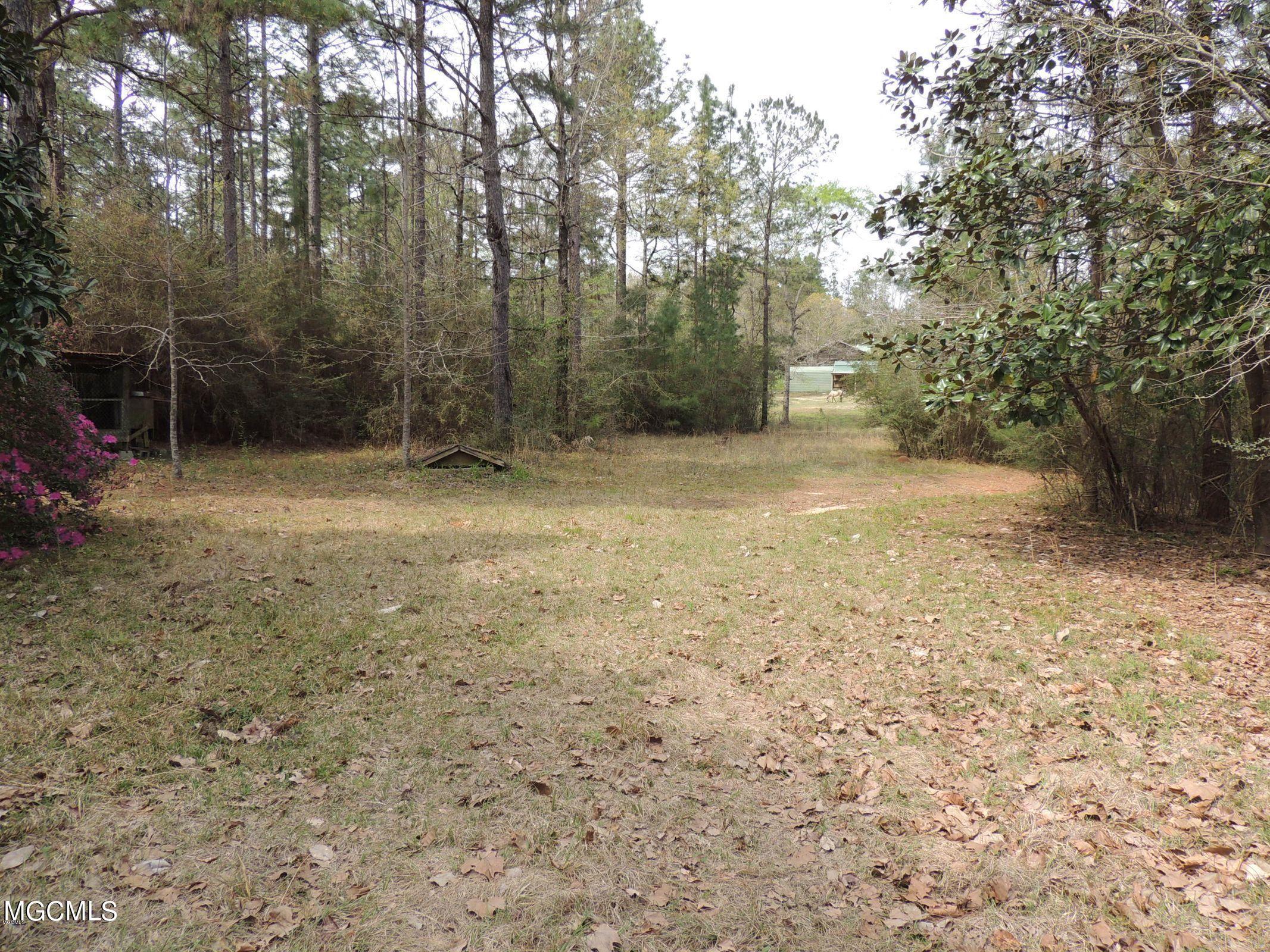 496 Sunflower Road Perkinston, MS 39573 - Photo 6 of 17 20190325205534926908000000-o