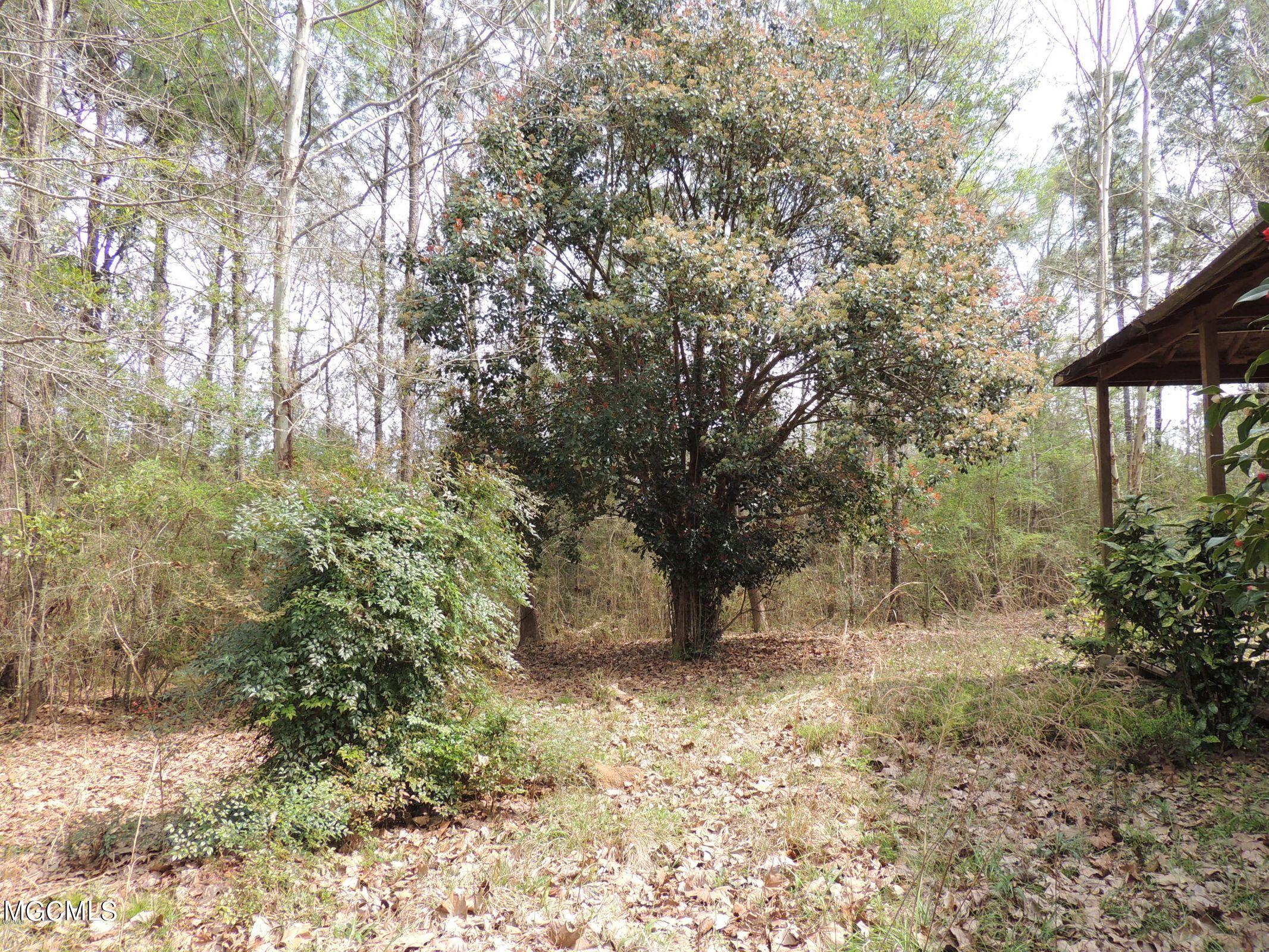 496 Sunflower Road Perkinston, MS 39573 - Photo 7 of 17 20190325205544763949000000-o