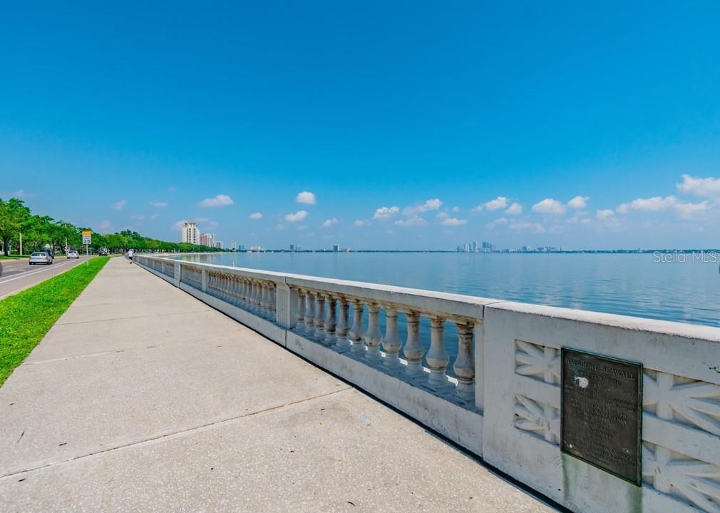 2813 West Hawthorne Road, Unit 2813 Tampa, FL 33611 - Photo 29 of 34