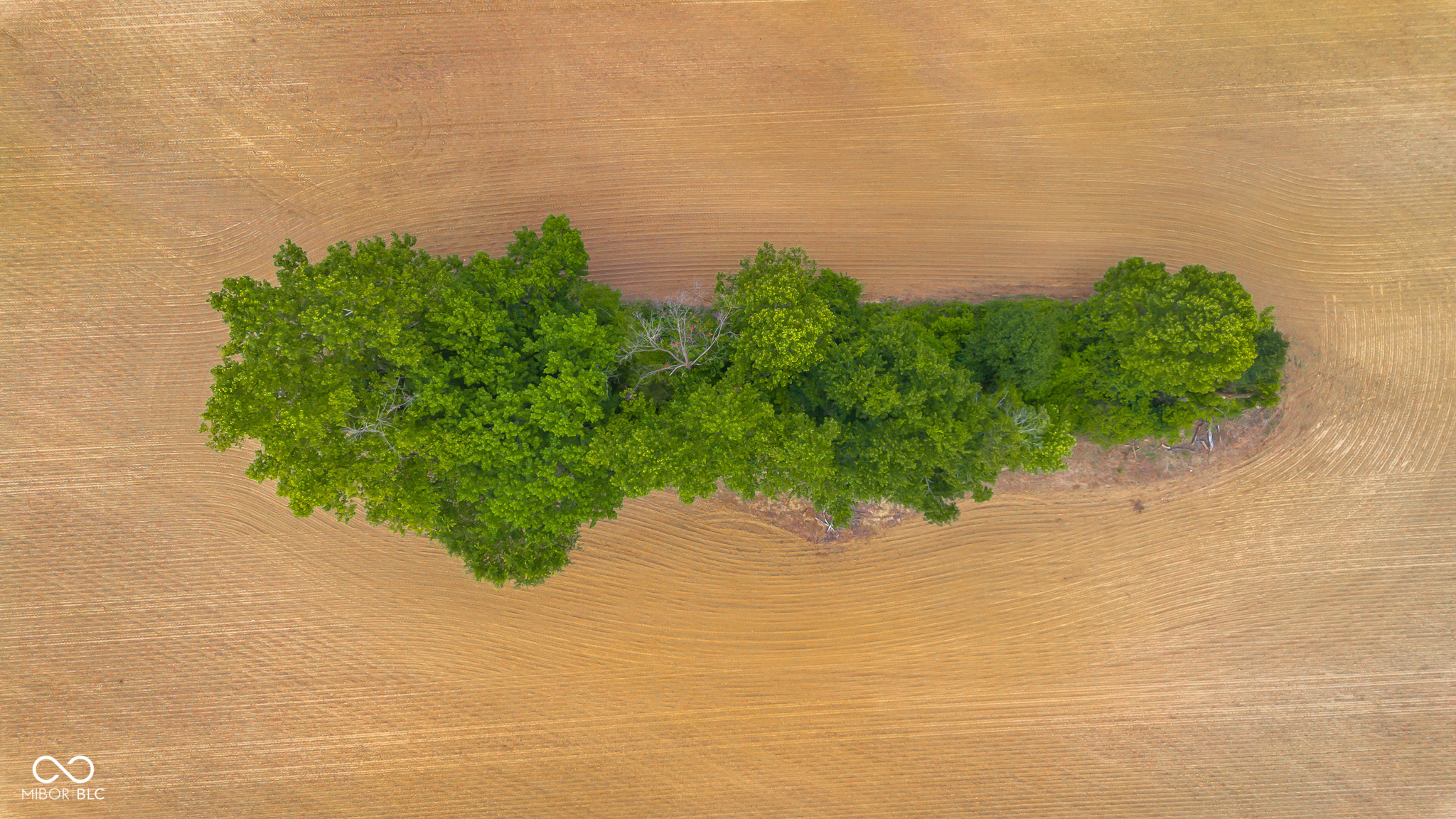 3000 West Block Co Rd 900 North Freetown, IN 47235 - Photo 8 of 11