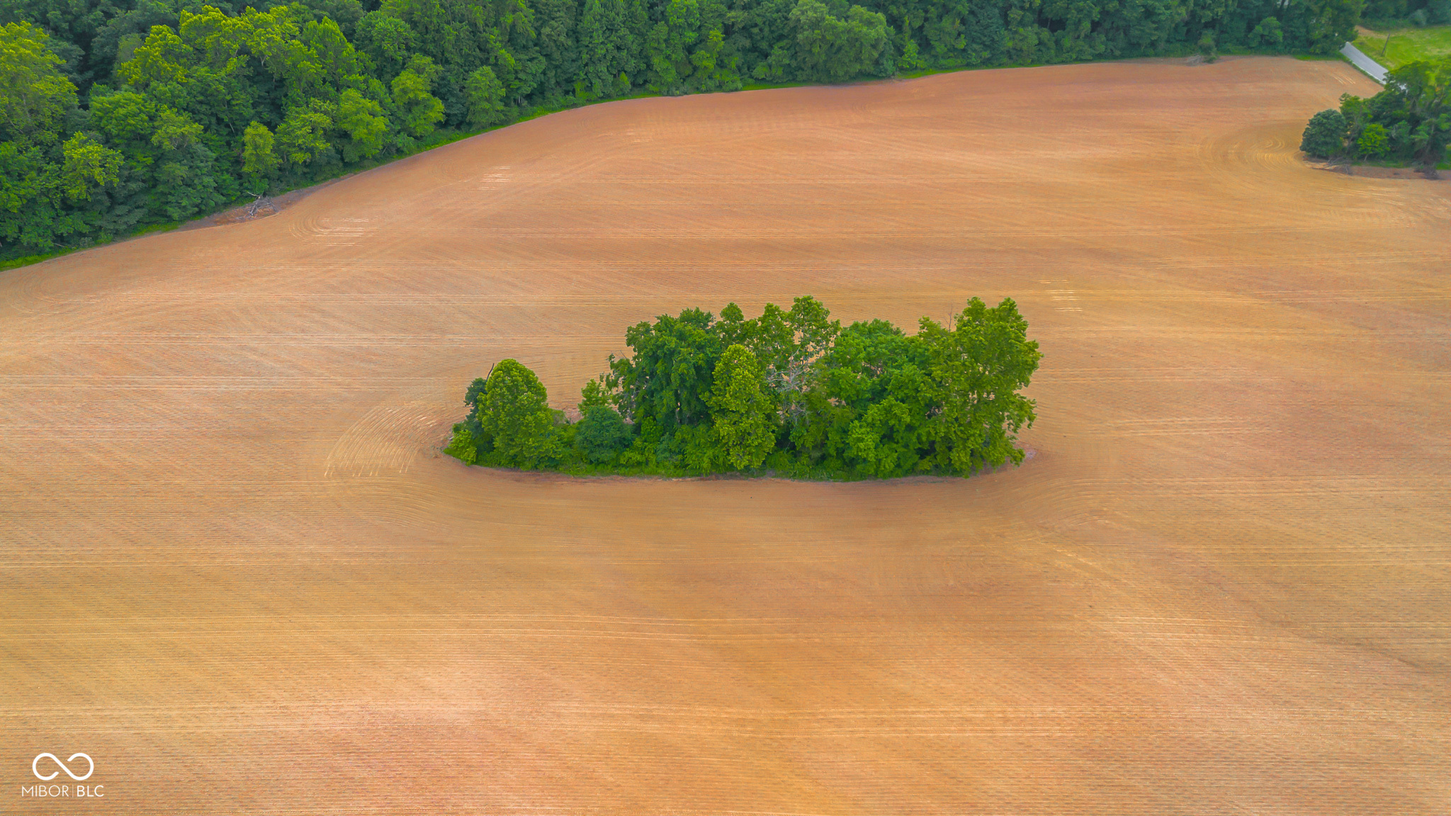 3000 West Block Co Rd 900 North Freetown, IN 47235 - Photo 9 of 11