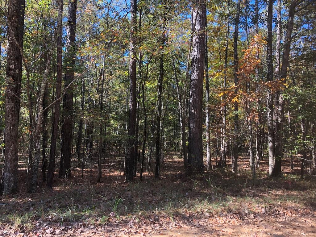 0 Settlement Road Dalzell, SC 29040 - Photo 1 of 11