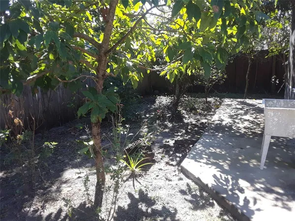 a backyard of a house