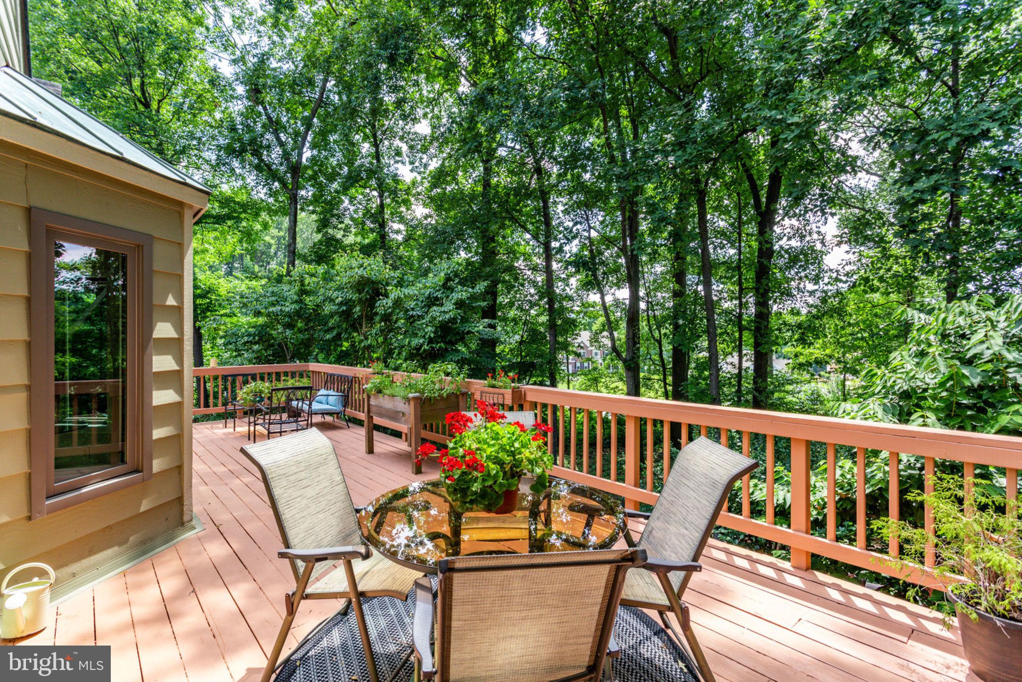 7350 Hooking Road McLean, VA 22101 - Photo 44 of 47