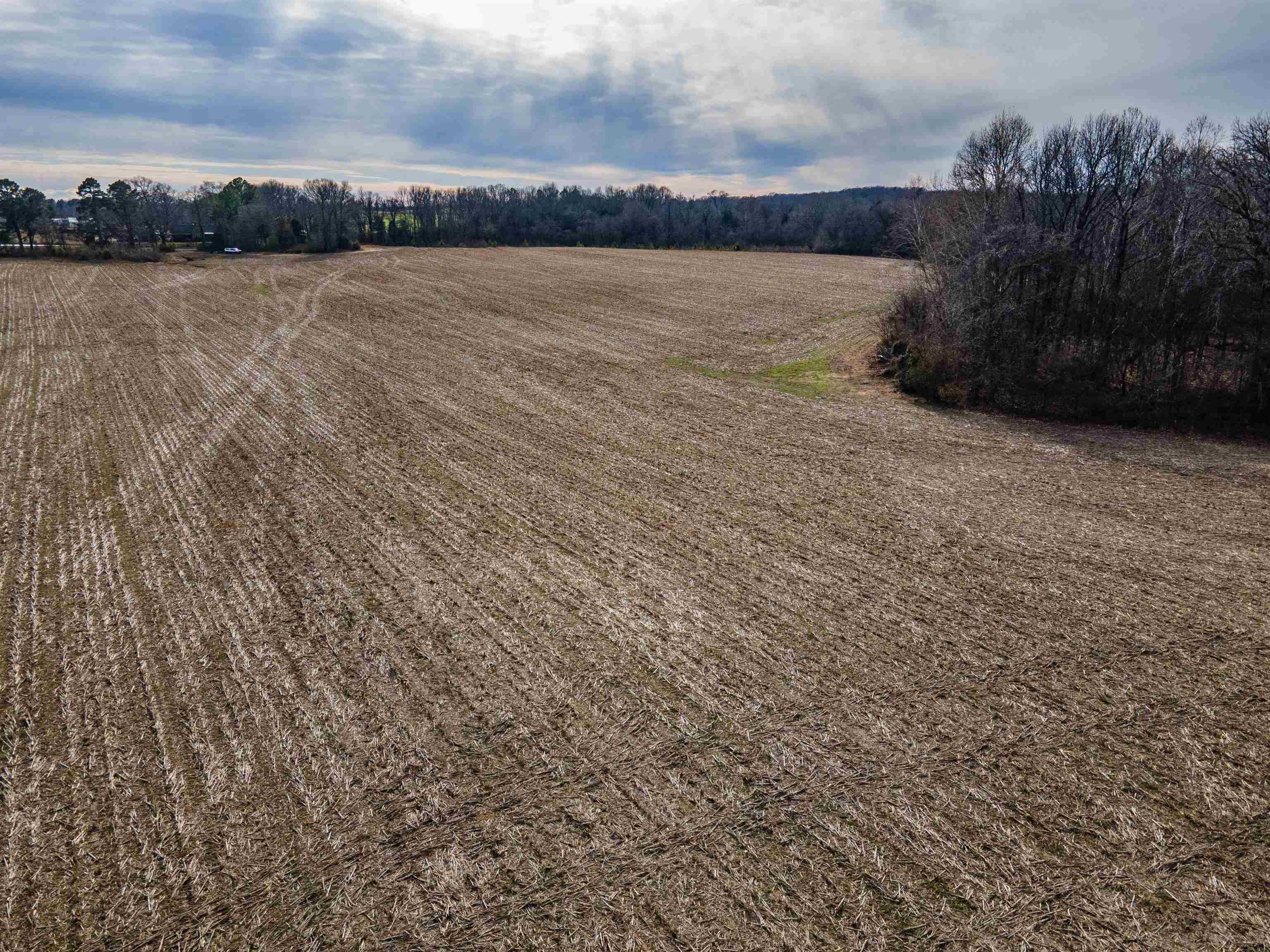 Mt Moriah Road Somerville, TN 38068 - Photo 19 of 19 Aerial view of sparsely populated area