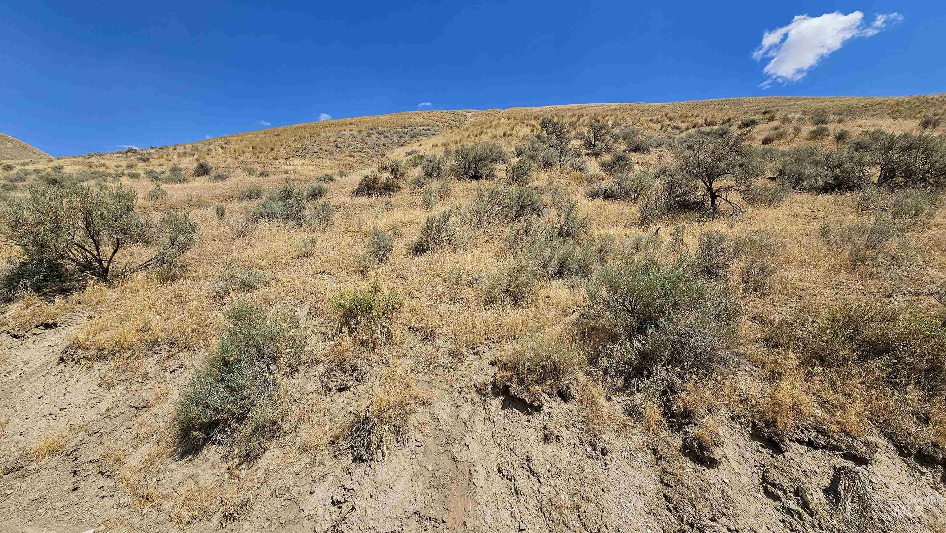 Tbd 2-parcels Tbd 2-parcels Rock Creek Road Weiser, ID 83672 - Photo 4 of 10