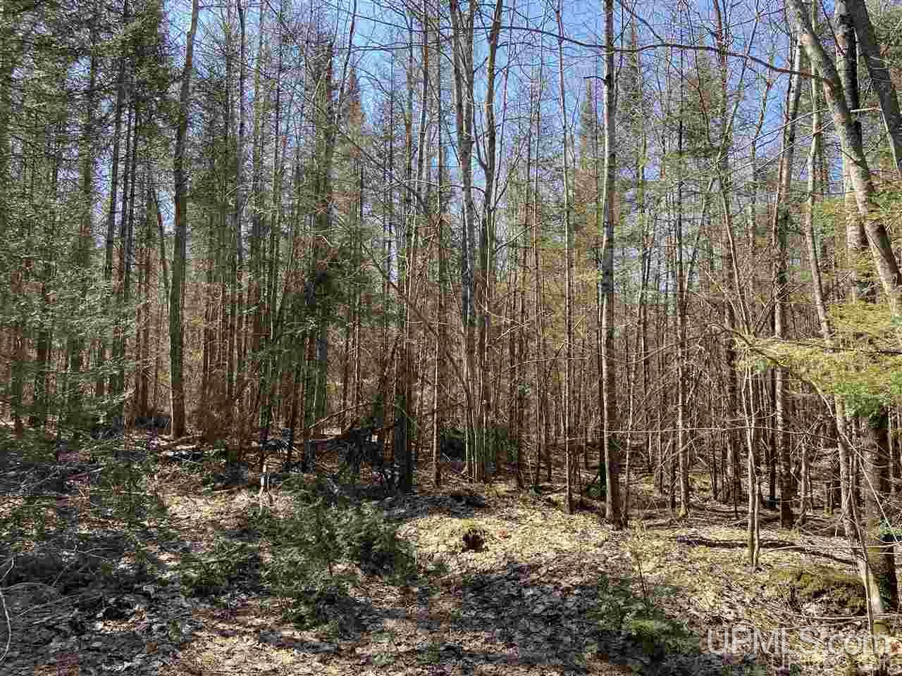 Tbd Tbd Off Powerline Gwinn, MI 49841 - Photo 15 of 28