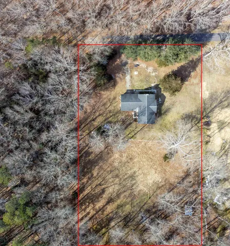 a view of a dry yard with trees