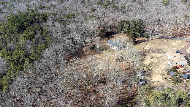 a view of a dry yard with trees