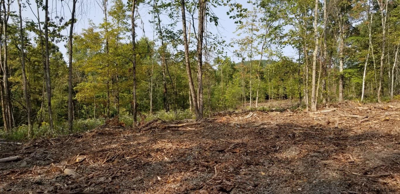0 Stewart Road Petersburgh, NY 12138 - Photo 1 of 38 Photo 1