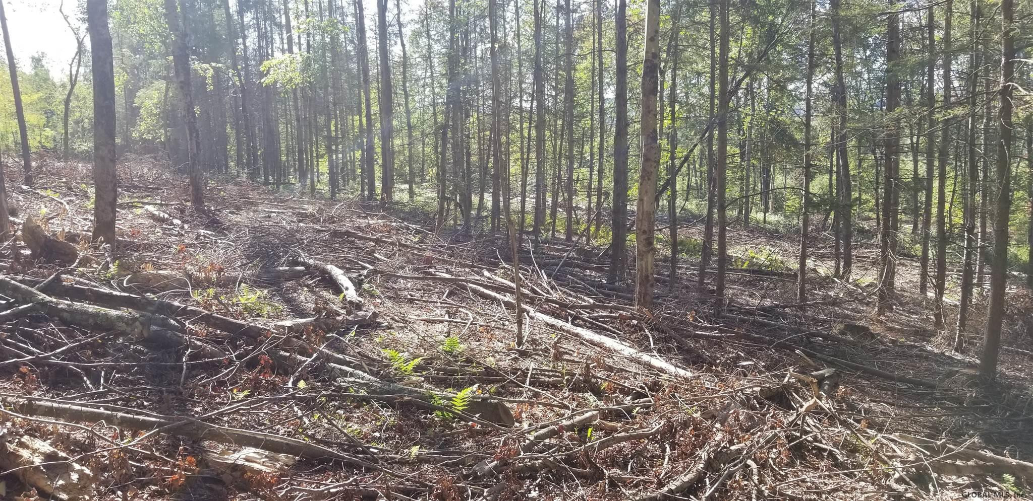 0 Stewart Road Petersburgh, NY 12138 - Photo 14 of 38 Photo 14