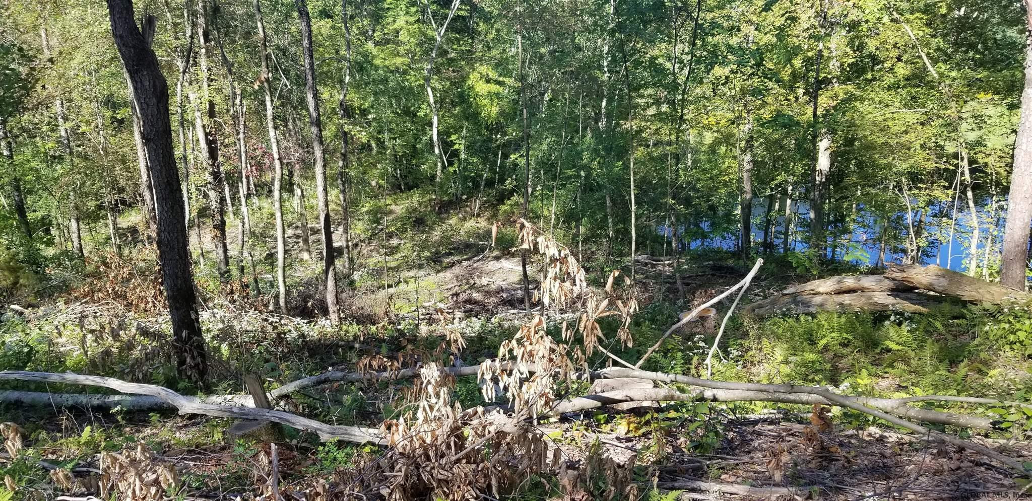 0 Stewart Road Petersburgh, NY 12138 - Photo 19 of 38 Photo 19