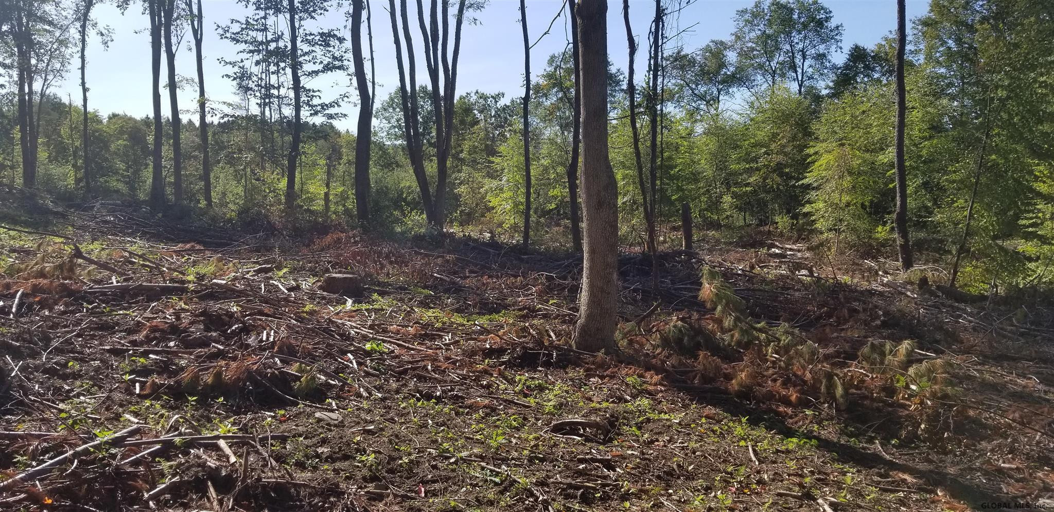 0 Stewart Road Petersburgh, NY 12138 - Photo 20 of 38 Photo 20