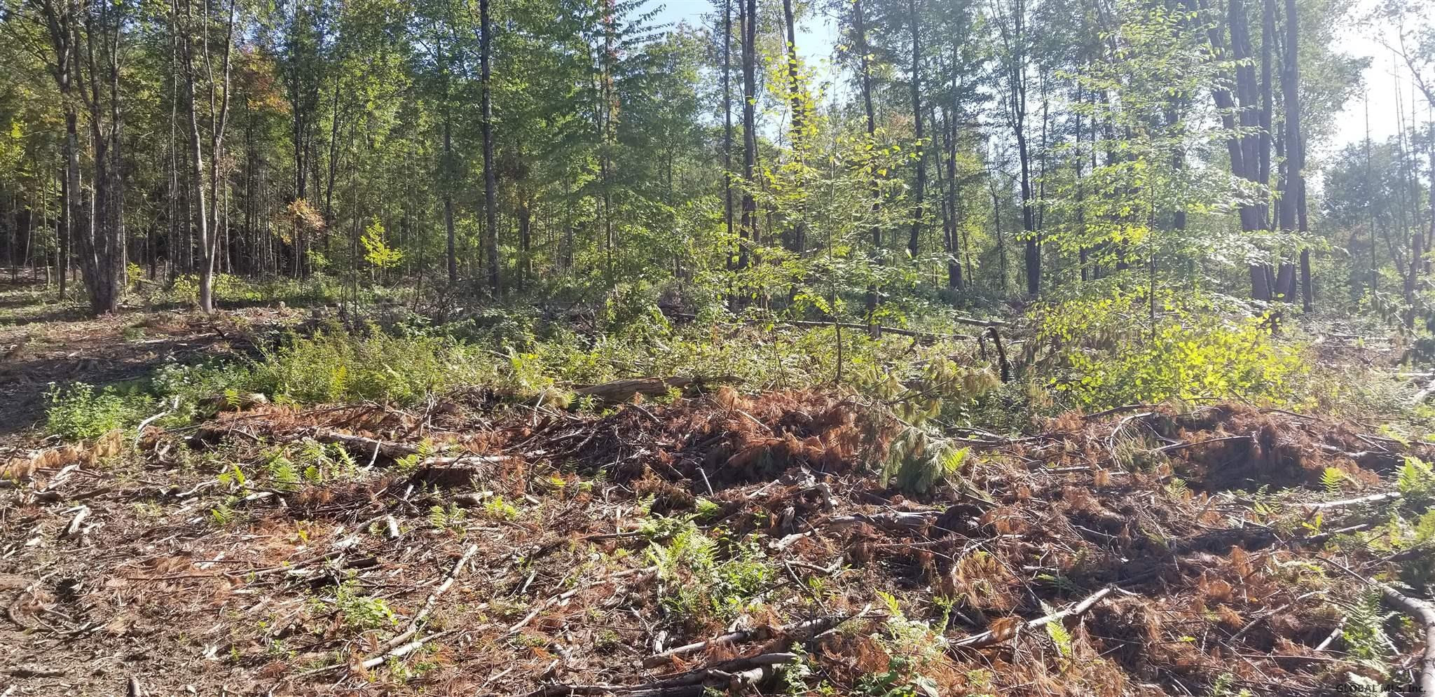 0 Stewart Road Petersburgh, NY 12138 - Photo 21 of 38 Photo 21