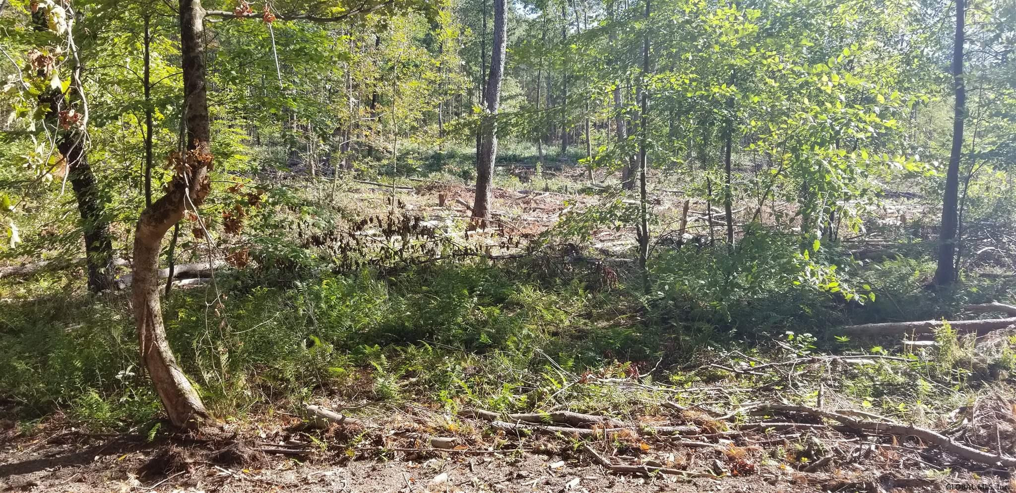 0 Stewart Road Petersburgh, NY 12138 - Photo 23 of 38 Photo 23