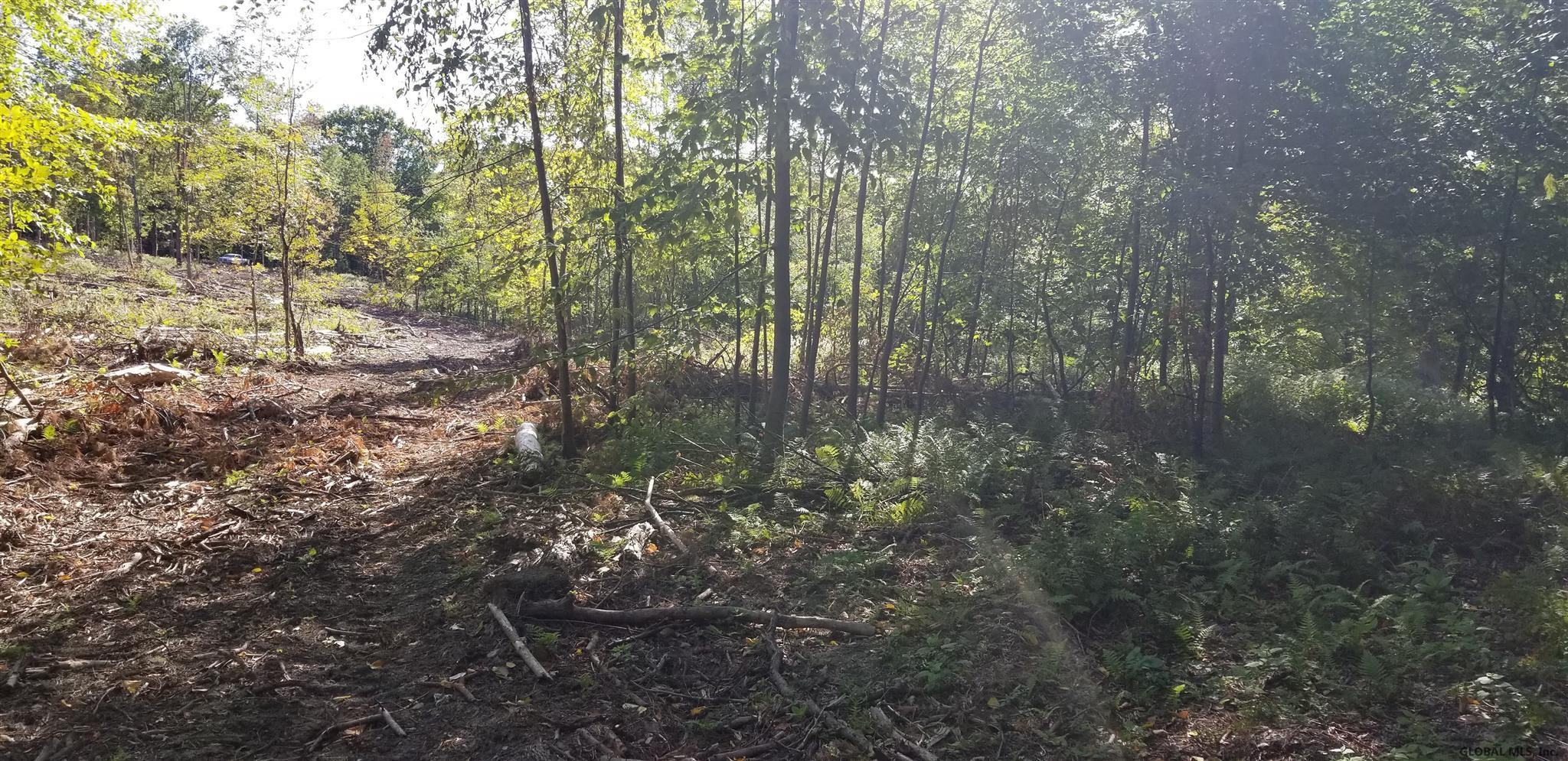 0 Stewart Road Petersburgh, NY 12138 - Photo 24 of 38 Photo 24