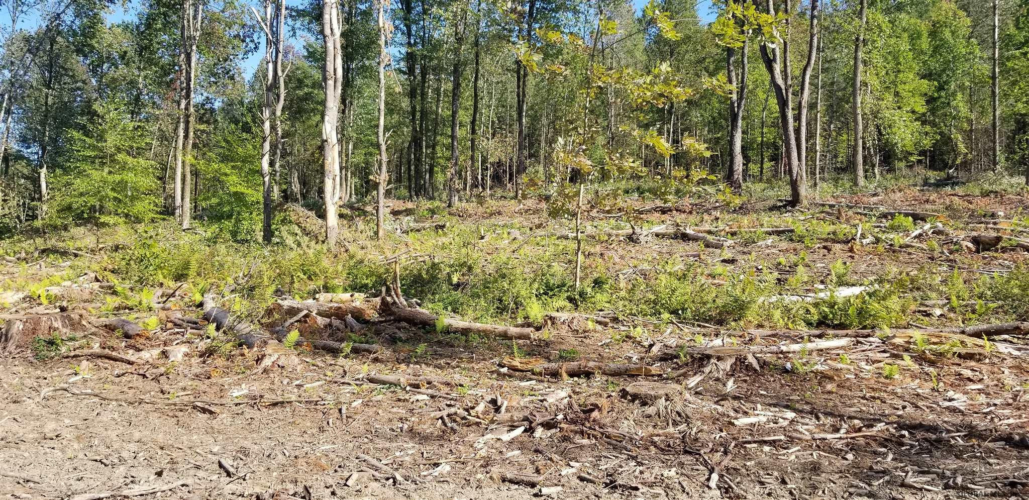 0 Stewart Road Petersburgh, NY 12138 - Photo 29 of 38 Photo 29