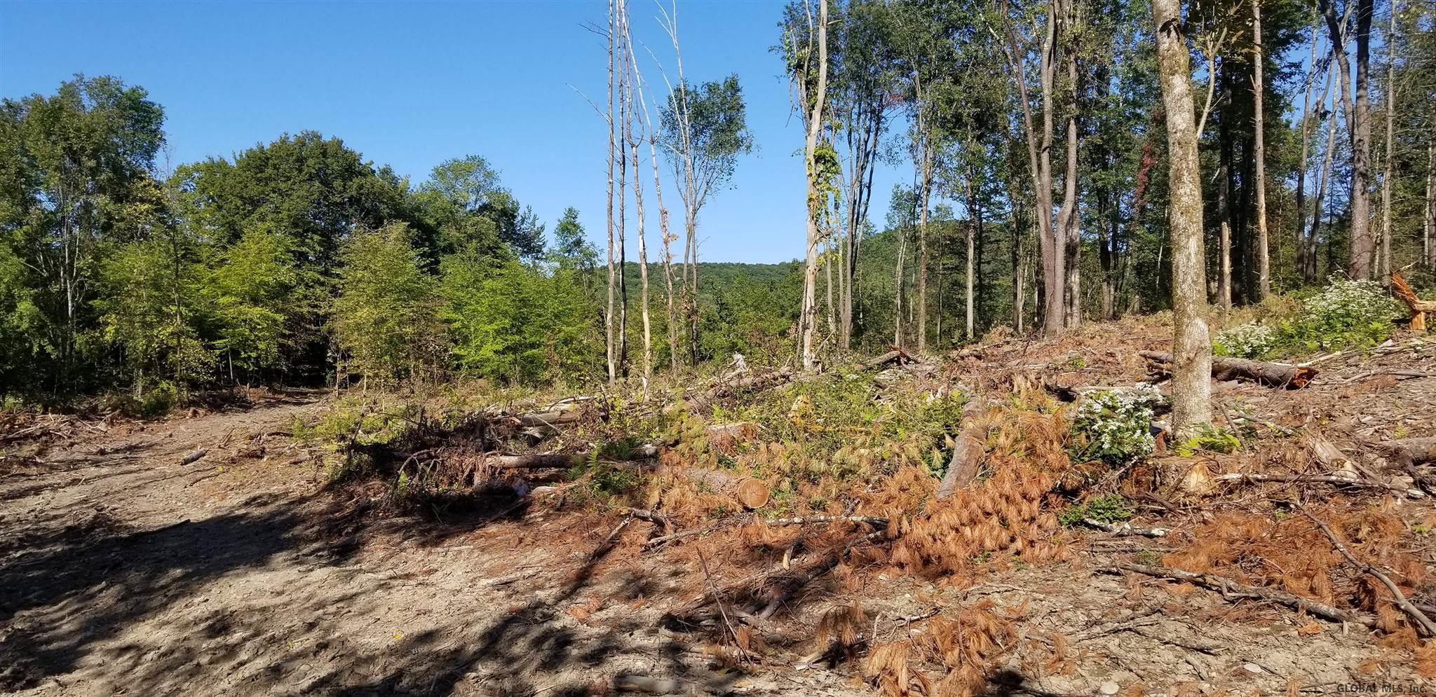 0 Stewart Road Petersburgh, NY 12138 - Photo 30 of 38 Photo 30