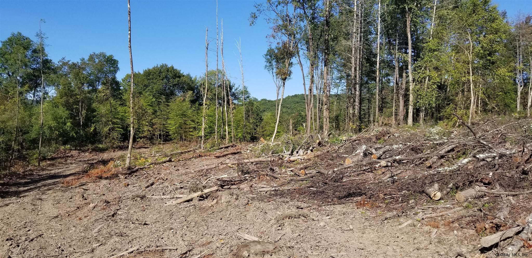 0 Stewart Road Petersburgh, NY 12138 - Photo 32 of 38 Photo 32
