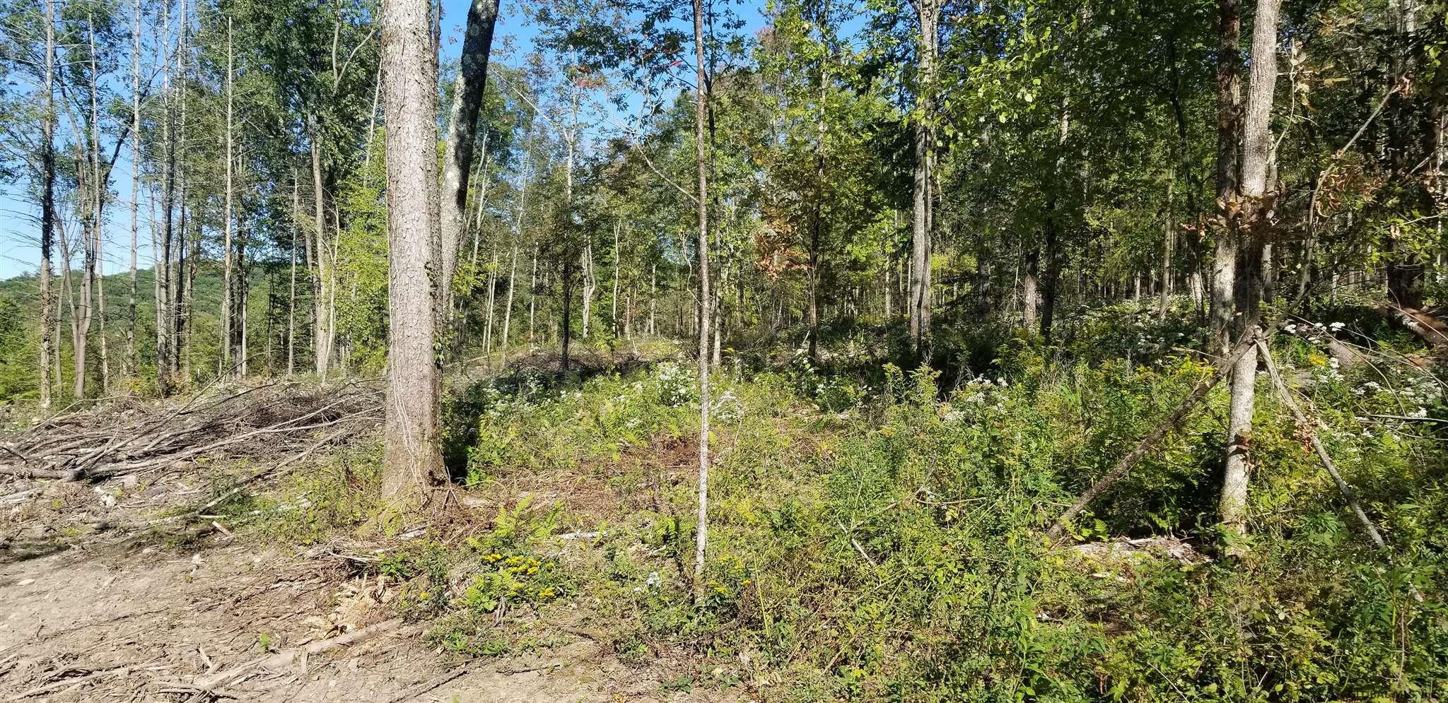 0 Stewart Road Petersburgh, NY 12138 - Photo 34 of 38 Photo 34