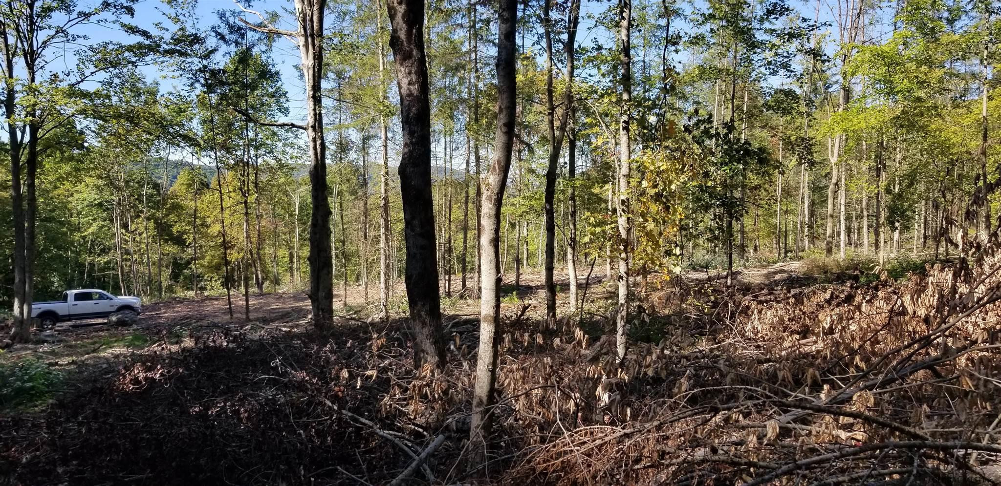 0 Stewart Road Petersburgh, NY 12138 - Photo 5 of 38 Photo 5