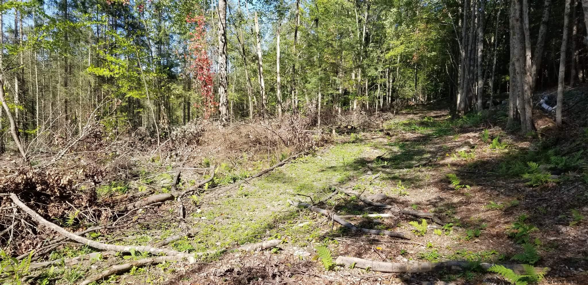 0 Stewart Road Petersburgh, NY 12138 - Photo 10 of 38 Photo 10