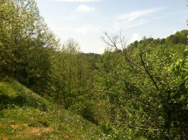 182 Old Springs Road Maynardville, TN 37807 - Photo 3 of 4 IMG_2455
