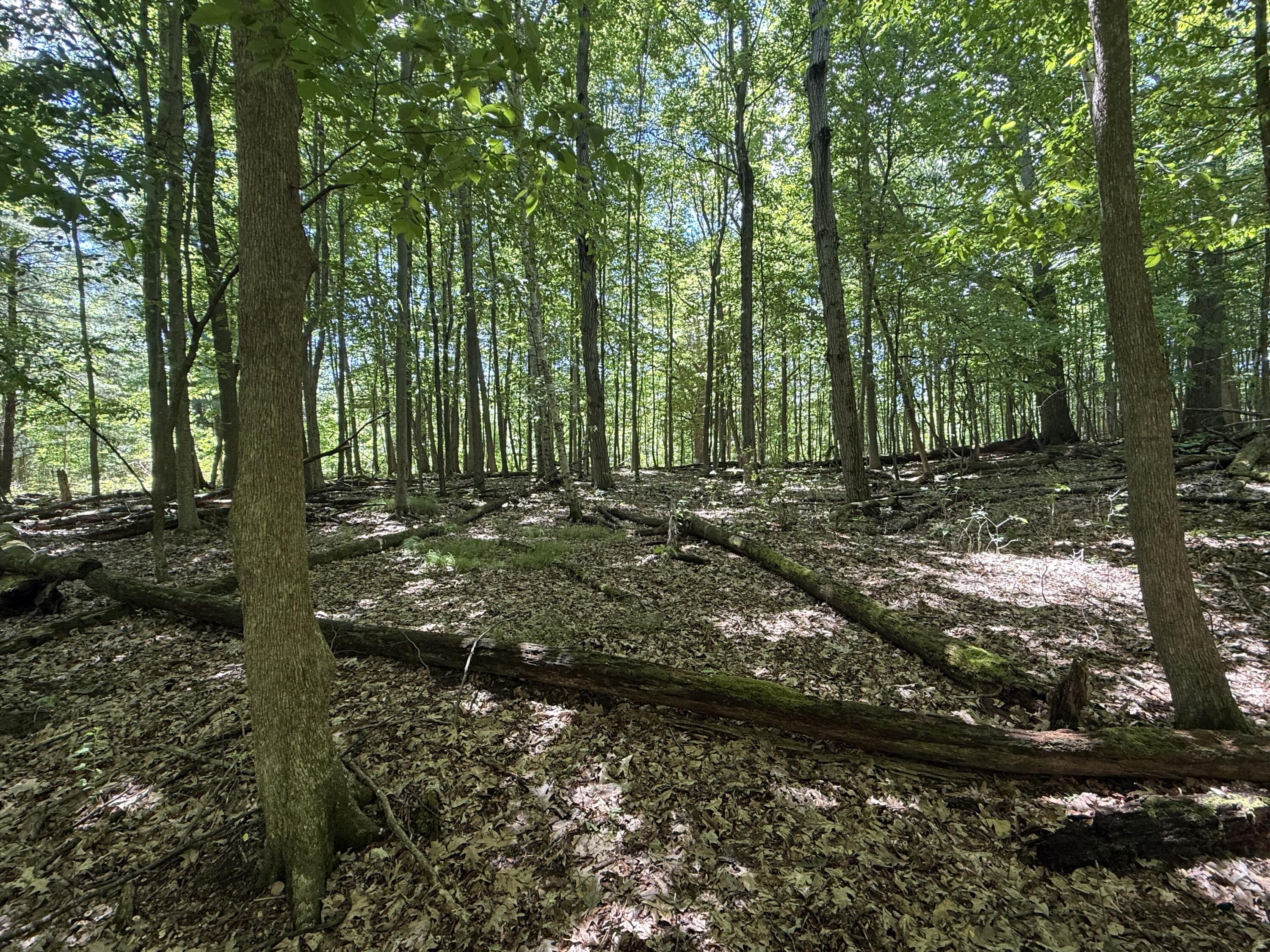 Hagerman Road Leonard, MI 48367 - Photo 19 of 51 5o