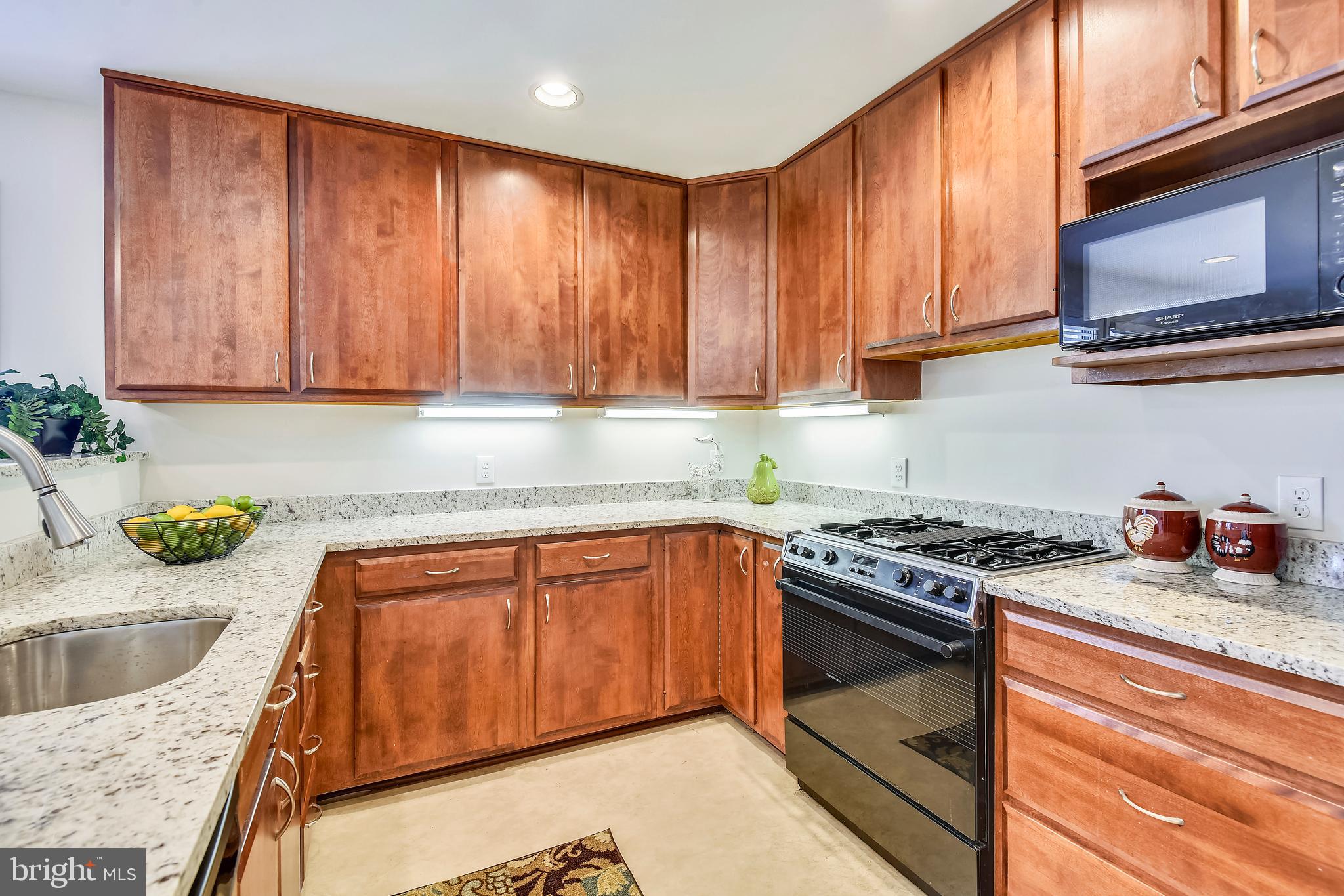 1619 Roxanna Road Northwest Washington, DC 20012 - Photo 11 of 31 Renovated kitchen