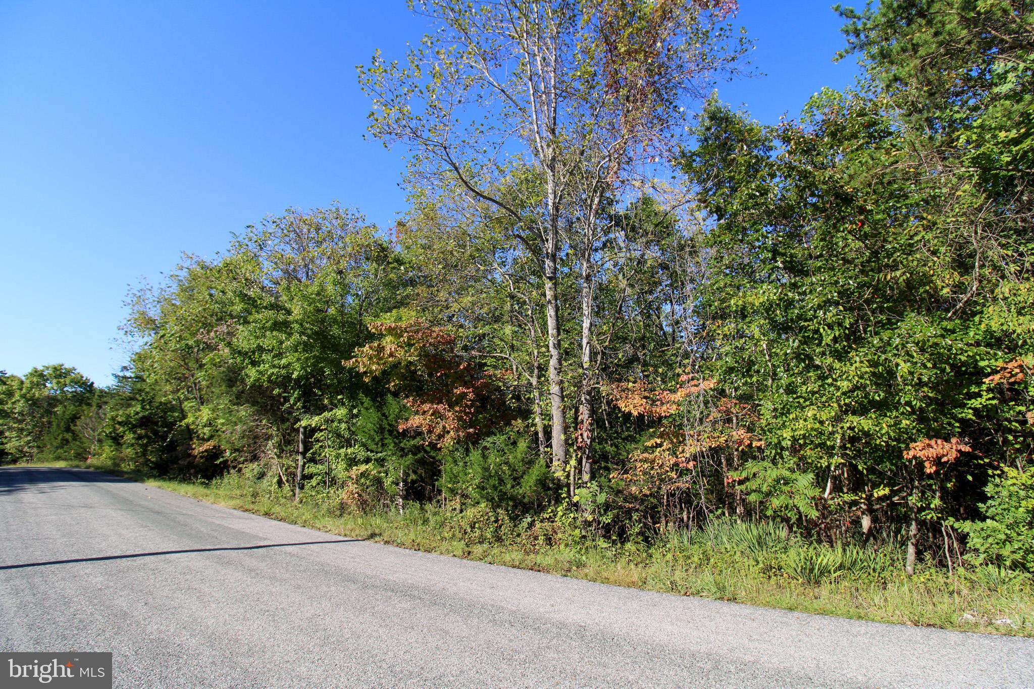 Tbd Roark Mill Road, Unit LOT 3 Hurt, VA 24563 - Photo 1 of 28