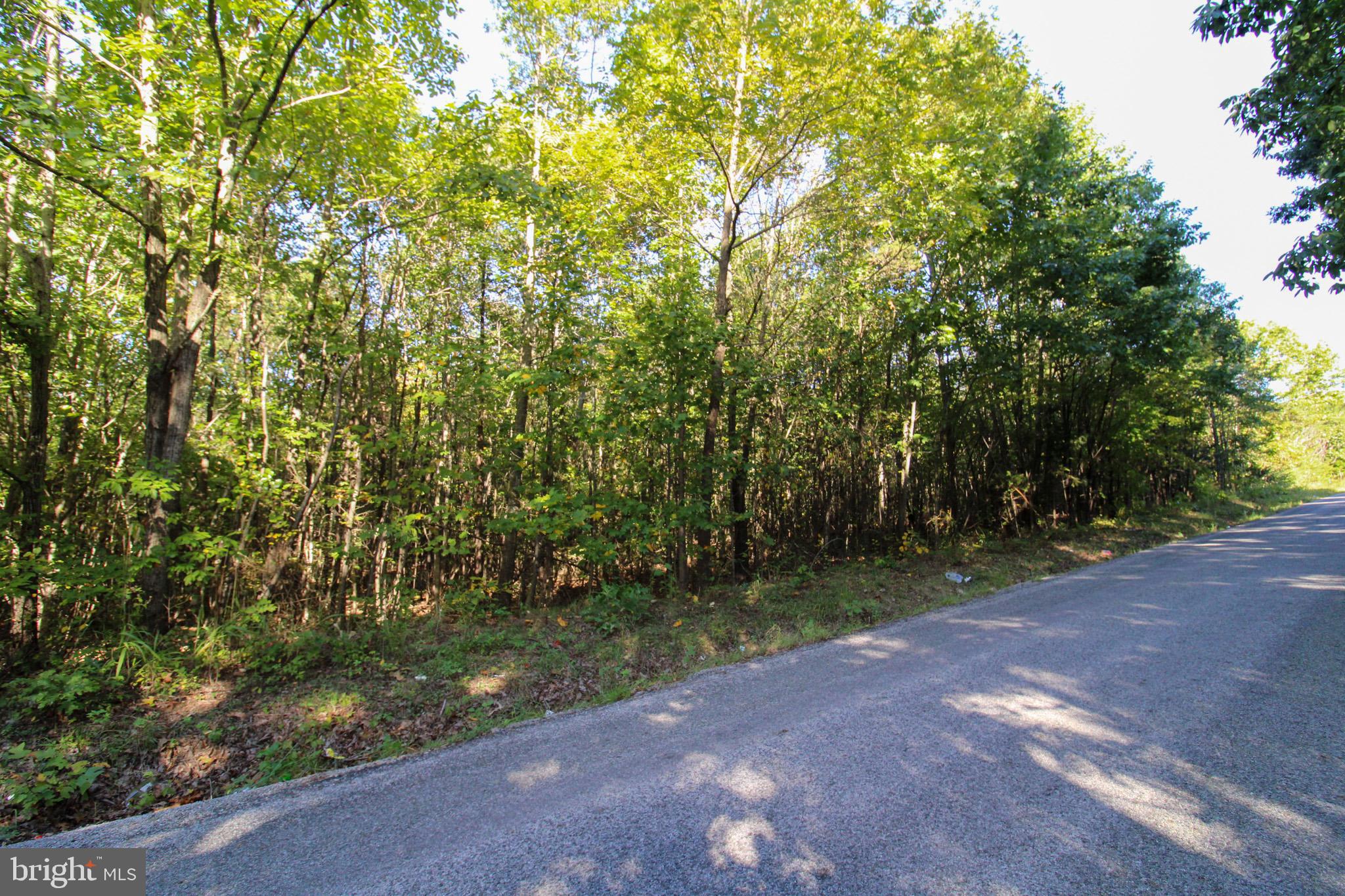 Tbd Roark Mill Road, Unit LOT 3 Hurt, VA 24563 - Photo 12 of 28