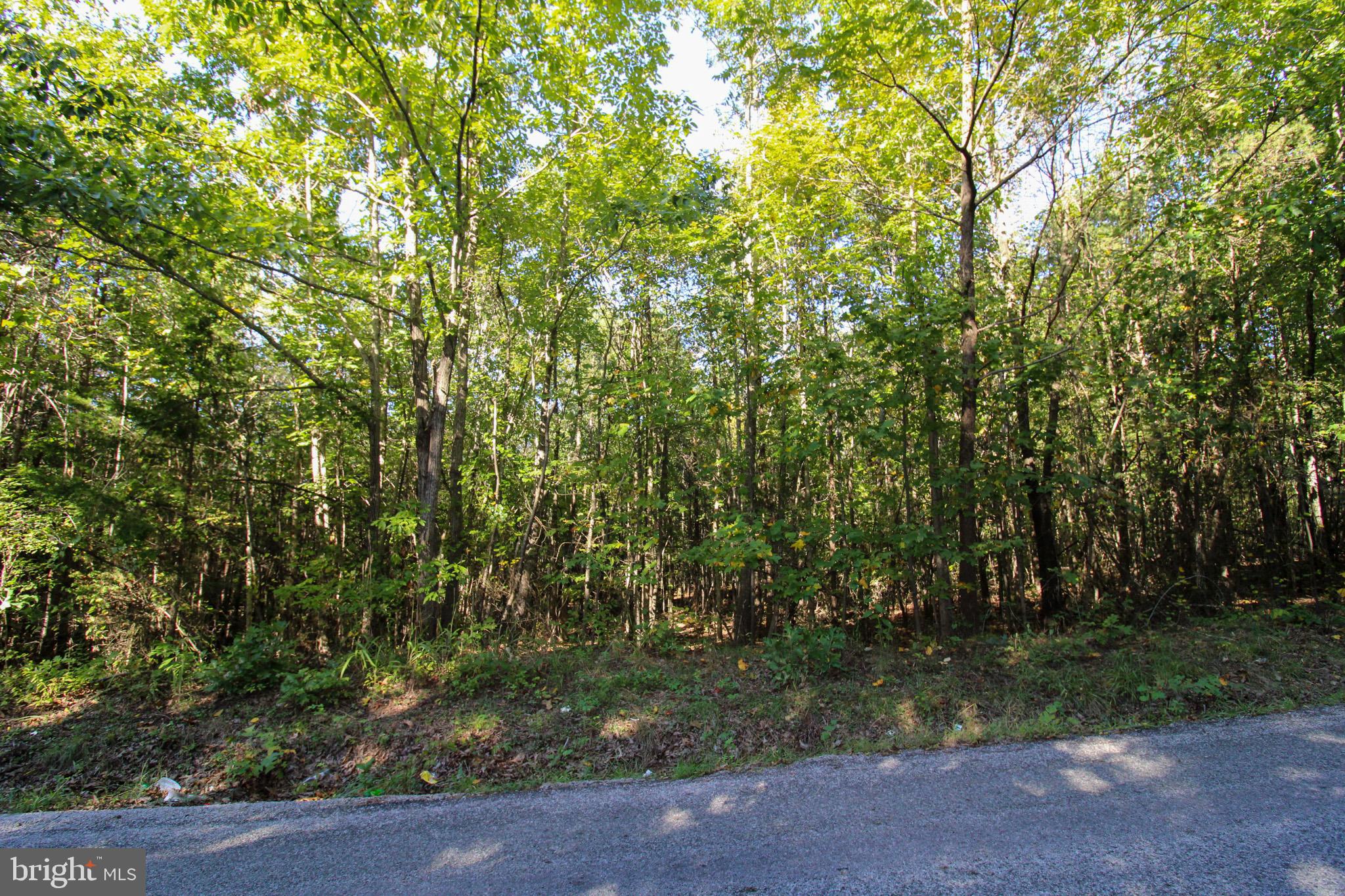 Tbd Roark Mill Road, Unit LOT 3 Hurt, VA 24563 - Photo 13 of 28