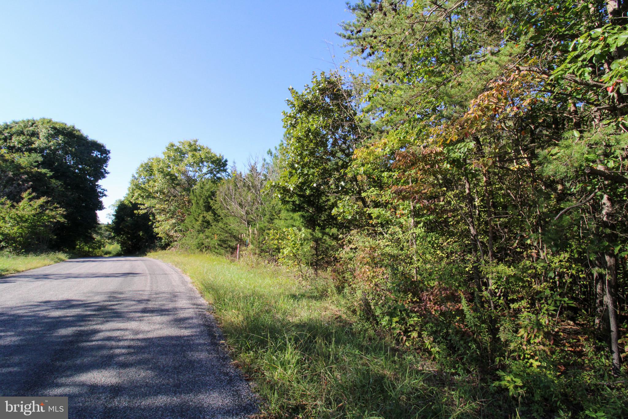 Tbd Roark Mill Road, Unit LOT 3 Hurt, VA 24563 - Photo 3 of 28