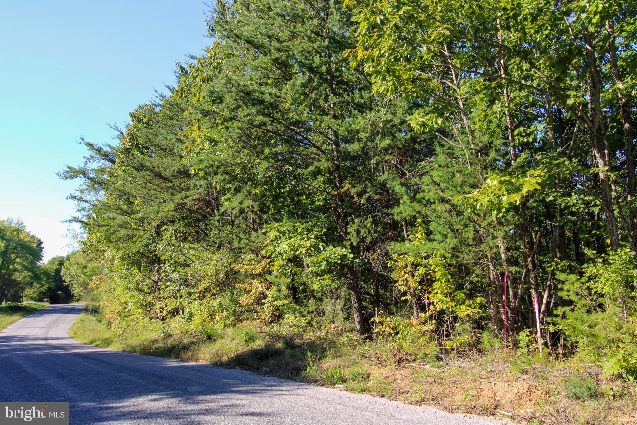 Tbd Roark Mill Road, Unit LOT 3 Hurt, VA 24563 - Photo 4 of 28