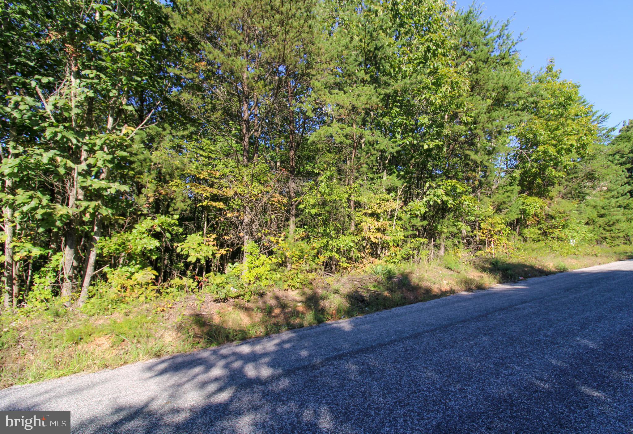 Tbd Roark Mill Road, Unit LOT 3 Hurt, VA 24563 - Photo 5 of 28
