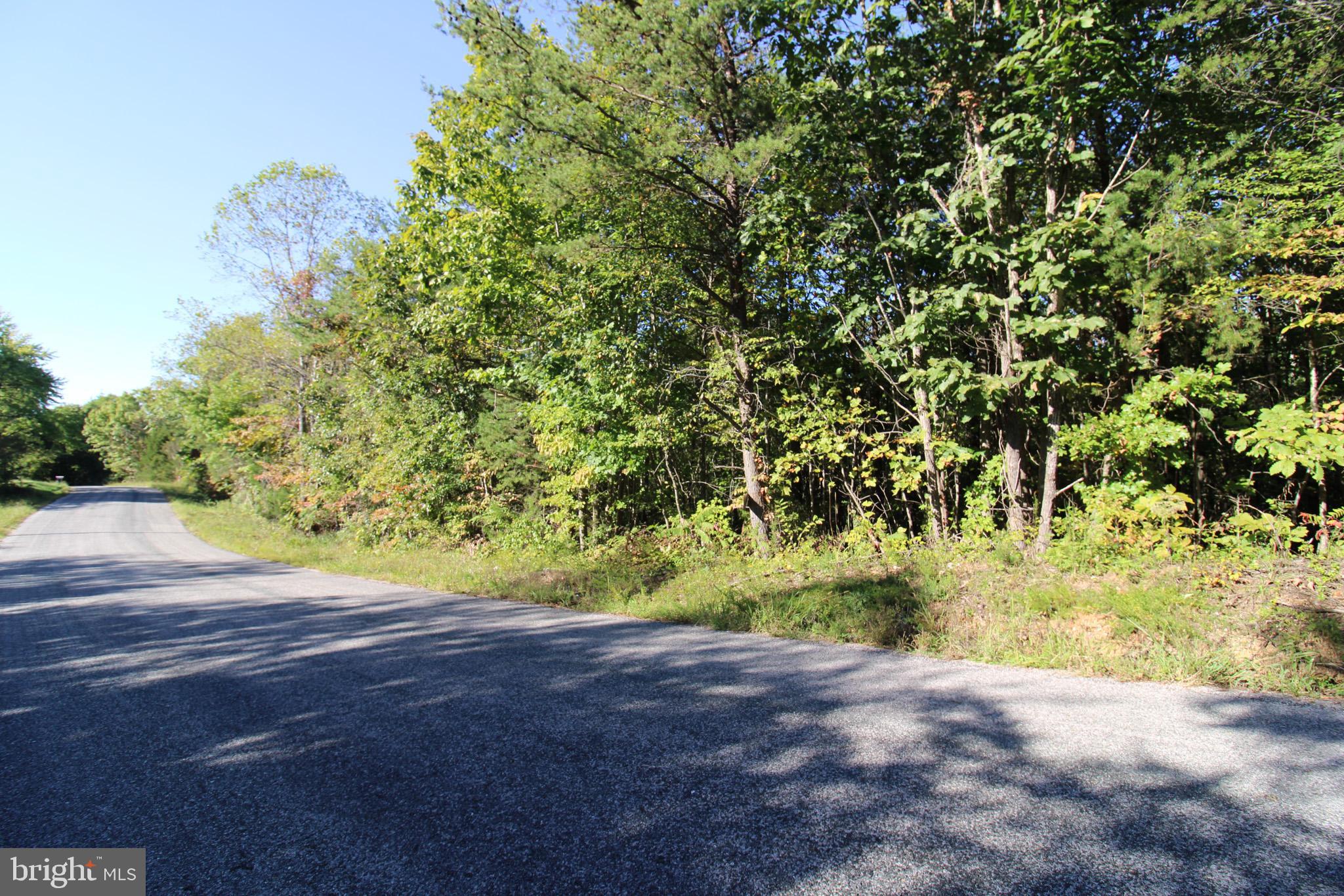 Tbd Roark Mill Road, Unit LOT 3 Hurt, VA 24563 - Photo 6 of 28