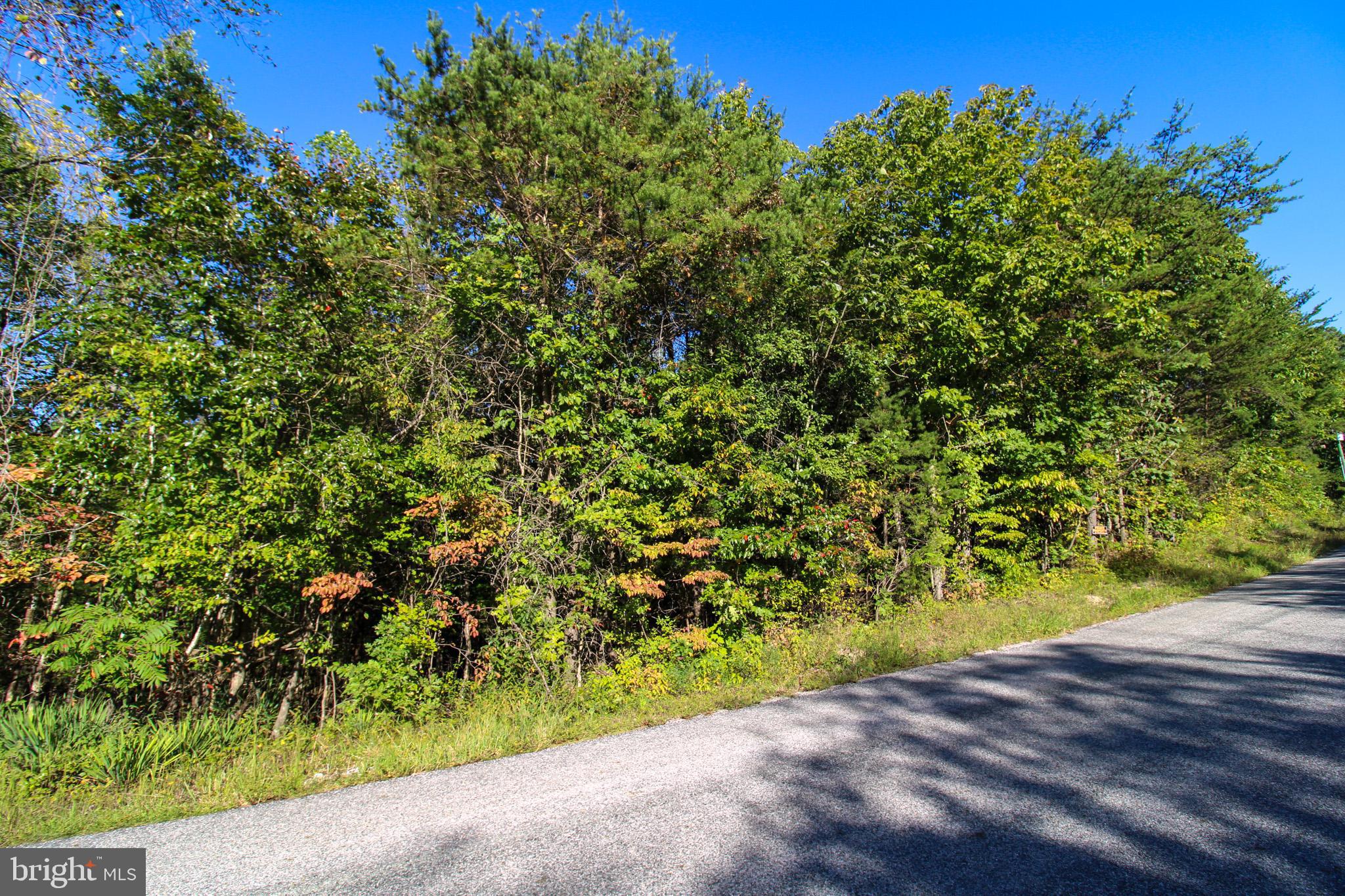 Tbd Roark Mill Road, Unit LOT 3 Hurt, VA 24563 - Photo 7 of 28