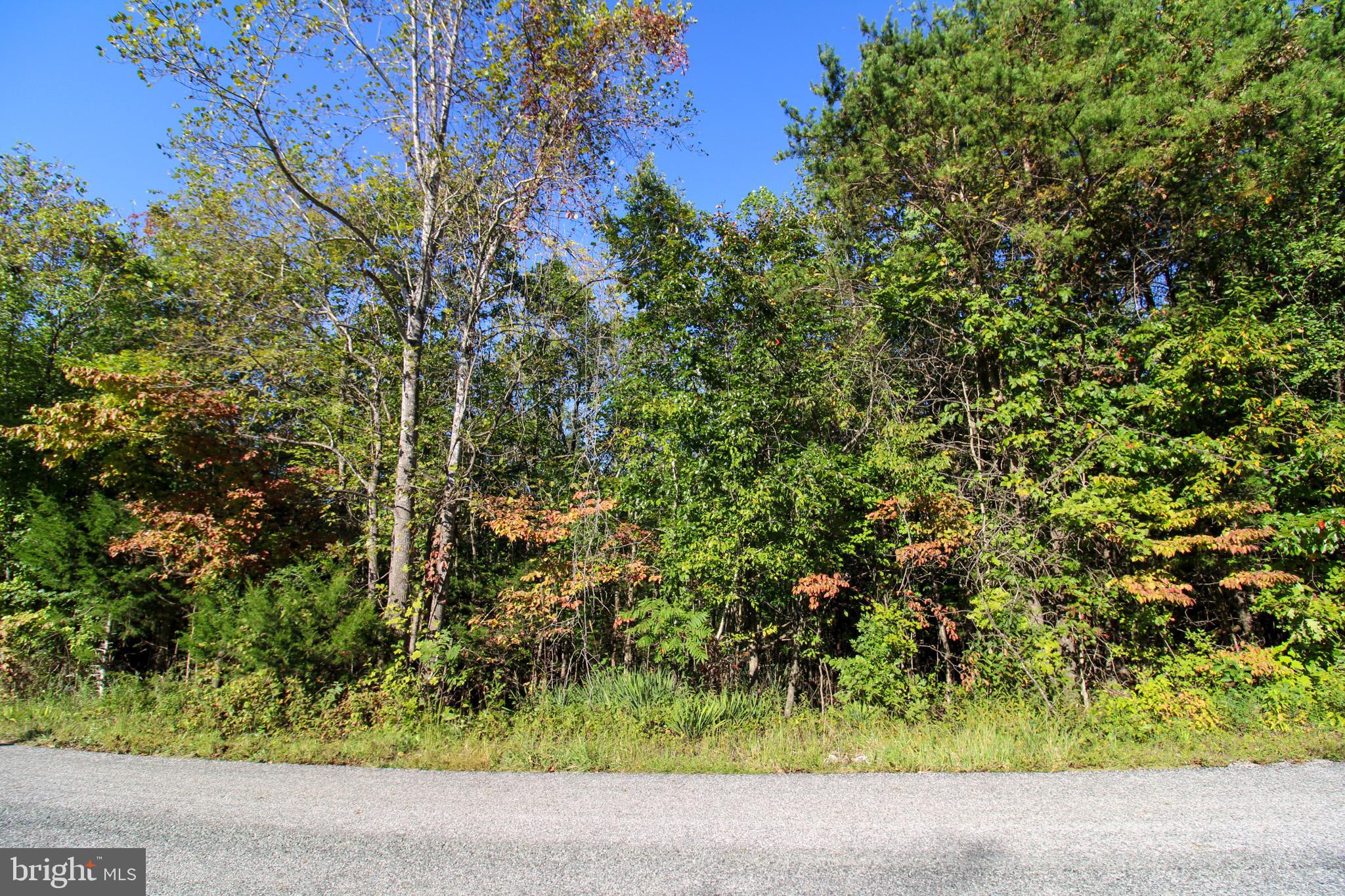 Tbd Roark Mill Road, Unit LOT 3 Hurt, VA 24563 - Photo 8 of 28