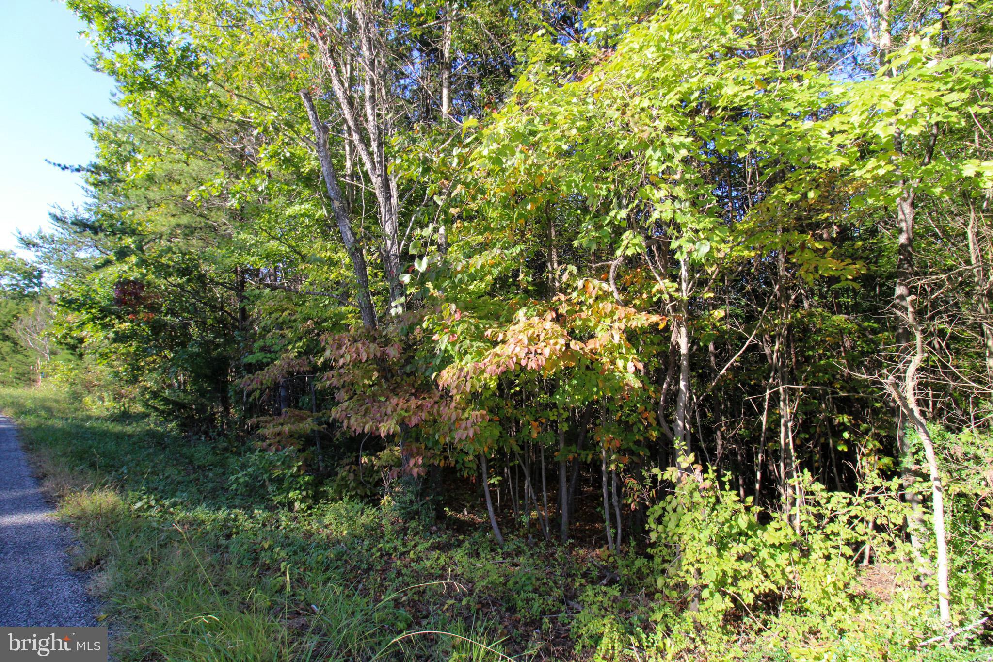 Tbd Roark Mill Road, Unit LOT 3 Hurt, VA 24563 - Photo 10 of 28